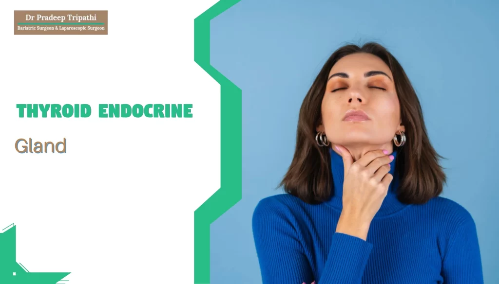 Thyroid Endocrine Gland