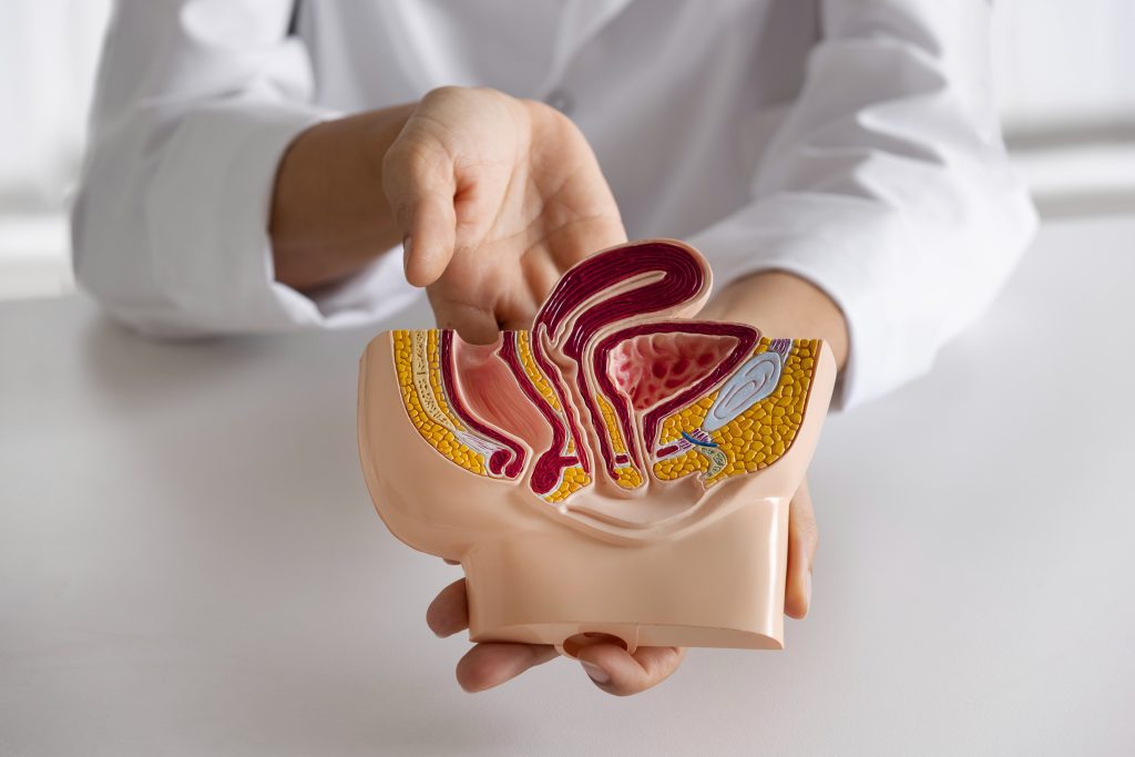 What is Difference Between Fissure and Fistula